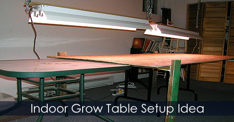 Grow Table for starting seeds indoors