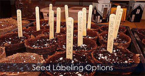 How to label seedlings - Seed labels - Seed markers