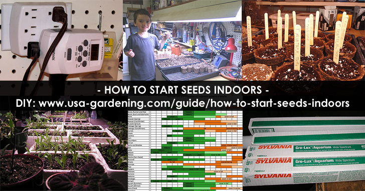 How to start seed indoors