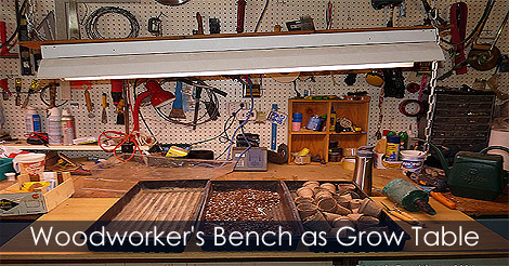Woodworking bench as Grow table - Starting seeds indoors