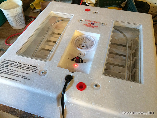 Egg Incubator - Egg incubator thermostat - Temperature setting for chicken incubator