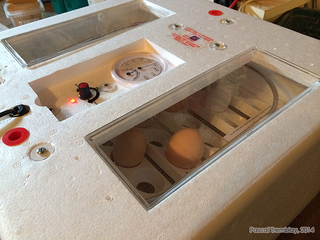 Egg Incubators - Still air incubator - Purchase Automatic chicken incubator - Circulated air incubator