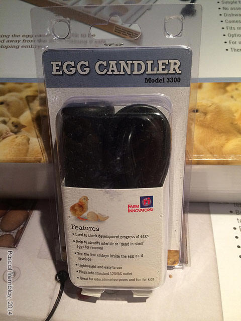 Eggs candler - Candling eggs - Egg Clandler for sale - Check development progress of eggs