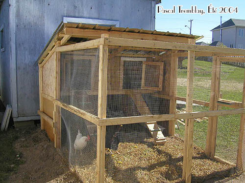 Raising backyard chickens - Chicken coop design idea - Hen house - Hen coop - Pens plans - Hen house plan - Poultry coop plan - Pens