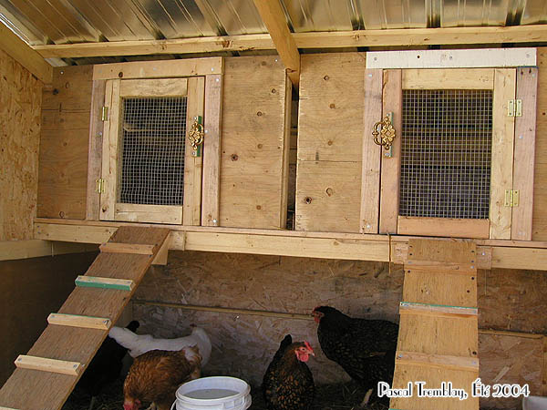 How to build a chicken coop - Hen Coop - The chicken coop - Build Hen house
