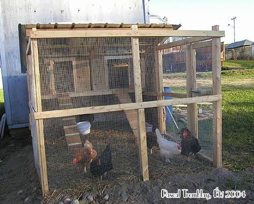 hen house - build poultry house - build hen house - Poultry house plans