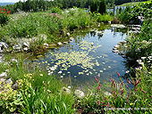 How-to Pond - Pond USA - USA Backyard Pond