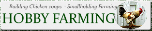 Smallholding farming ideas - Raising chickens - Hobby farming in USA