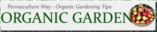 Organic Garden - Organic Gardening - Permaculture USA