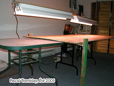 Indoor Growing Table DIY Plan - growing kits - Build grow table indoors