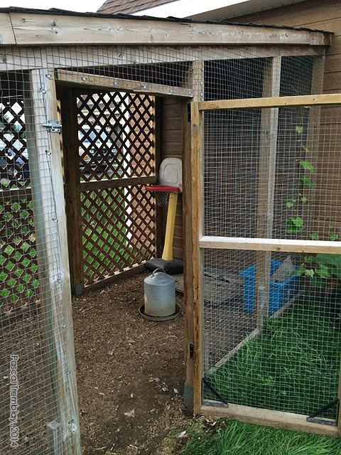 Chicken coop door - Building a chicken coop door - Chicken coop with chicken run and nesting area - Chicken netting idea