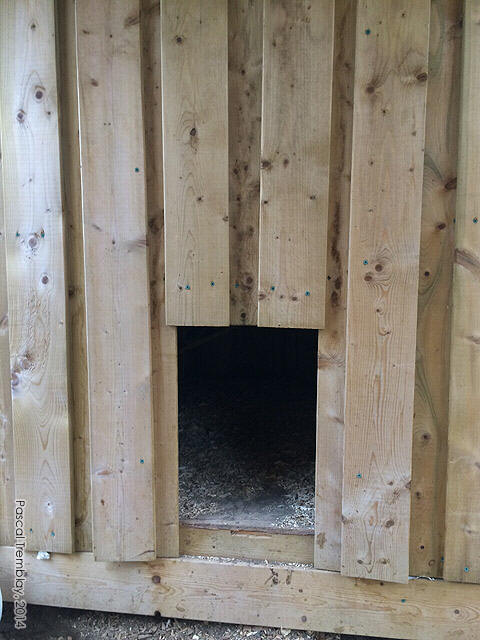 Lean-to chicken coop - Backyard chicken coop design idea - Buy hen house - Hen house building plan
