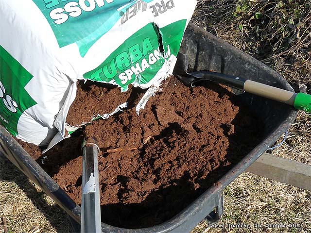 Preparing window box - Best soil for planter boxes - Premier Peat moss