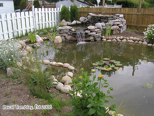 Pond Waterfall Ideas - How to build Water Garden with Waterfall - Pond filter media