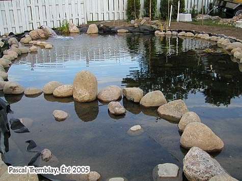 Water Gardening banks - Rocks and stones for Pond borders - Water Garden banks