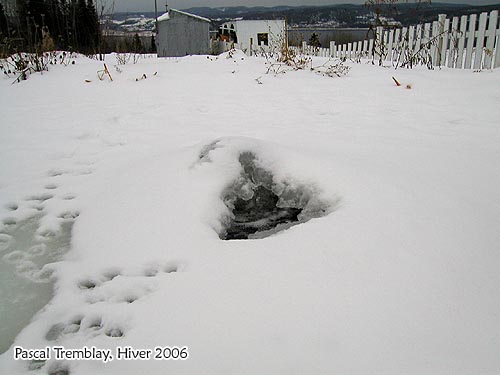 Ice hole Pond De-icer for Winter - Oxygen Fish - Keep your koi safe - Open Water Area