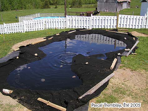 How to fill Water Garden - Pond Basins - Fill a Pond - The Water Garden Pond