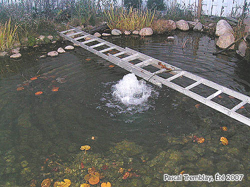 Build a Water Garden De-Icer - Winterize a basin