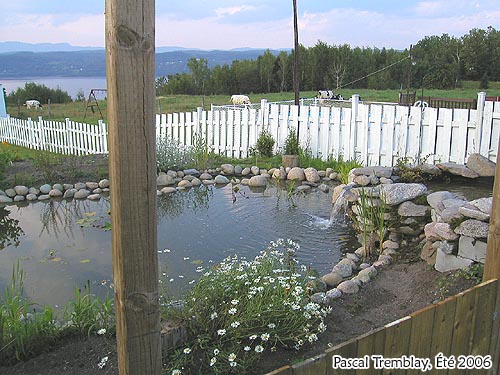 Water Gardening Ideas - Koi Pond and Small Pond Free Plan - Filter and Deck Pond