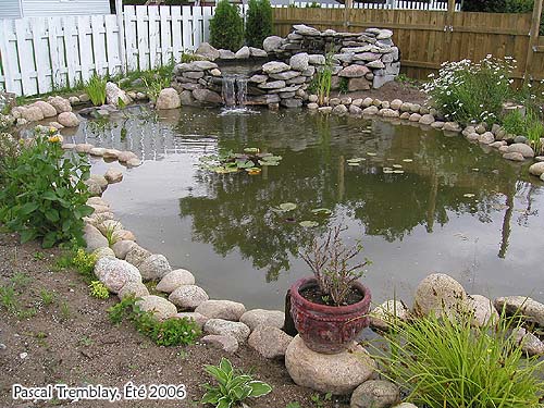 Pond - Water Garden - Water Gardening - Do it yourself - Preformed Pond