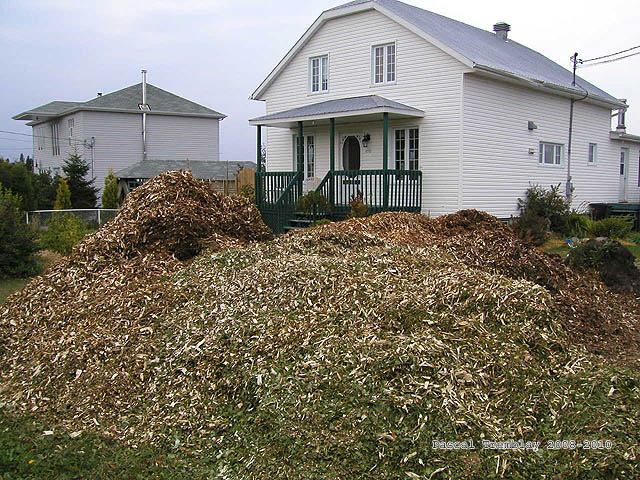 Mulching with Ramial chipped Wood - Living soil - Hemicellulose - ramial wood chips - shredded bark - USA decorative mulch