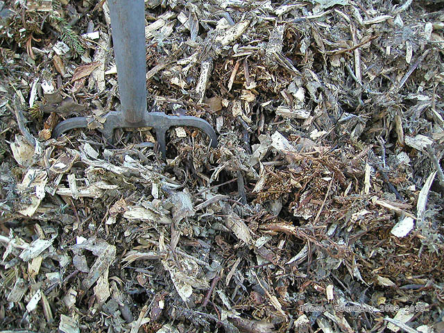 RCW - How to make a ramial chipped wood - organic mulches - organic mulch material - soil building