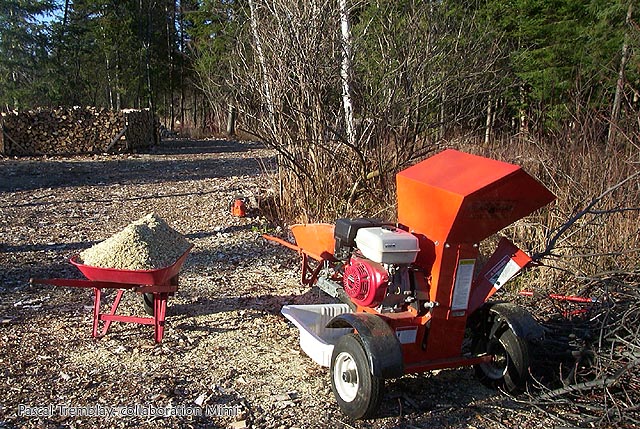 Cheap wood chippers - Wood chips - Permaculture - Regenerating soil - Soil development - Ramial chipped wood (RCW)