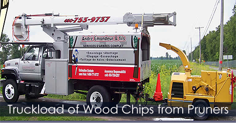 Wood chips delivered by truckload - From arborists
