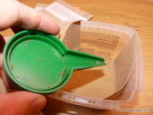 Scarification method - Plastic seeder - Soaking seed - Scratching seeds with sandpaper