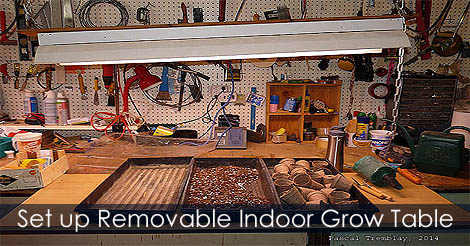 Removable Grow table - Grow light stand - Indoor grow table and grow lights set up