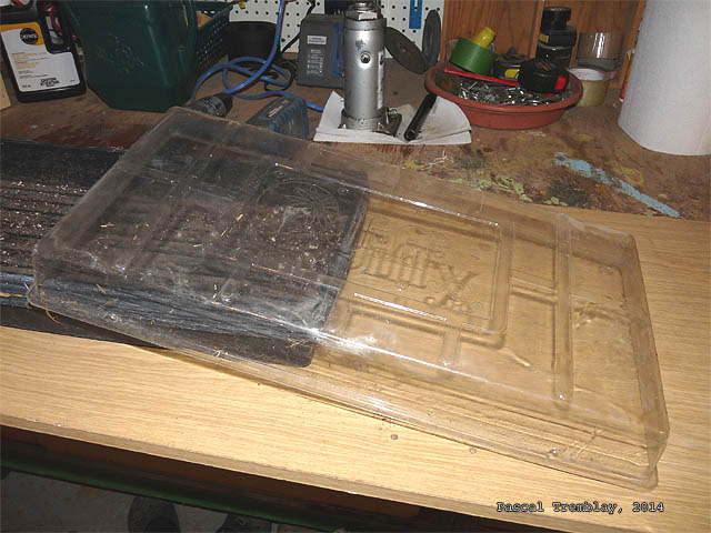 Seedling tray with clear plastic dome - How to sow seeds indoors - Set up indoor grow table