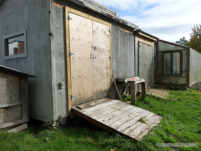 Maintaining a Wooden Outdoor Storage Shed. Ways To Keep A Garden Shed In Good Condition