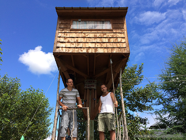 Build Treehouse