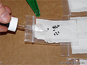 Cold Stratification guide - Stratify Seeds - Improving Germination Method