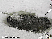 UK Pond De-Icer - Pond Supplies - Winterizing Water Garden