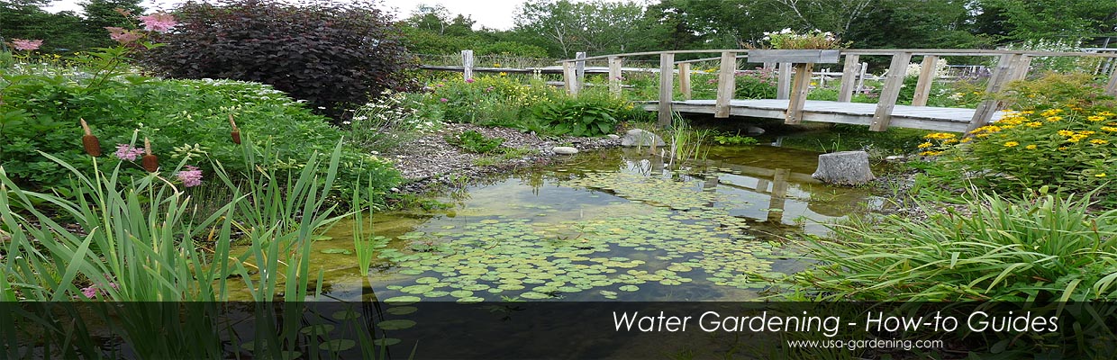 Water Gardens - Pond Landscaping Designs Ideas