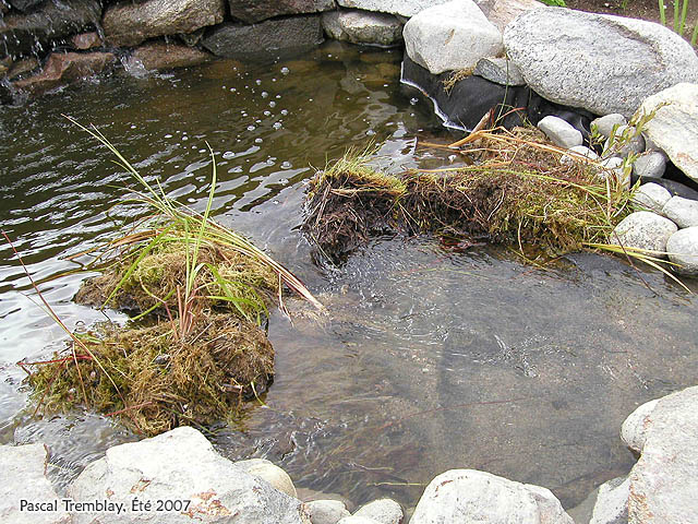 Filter system for Pond Waterfall - A Waterfall - Free Waterfalls