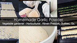 How to make garlic powder