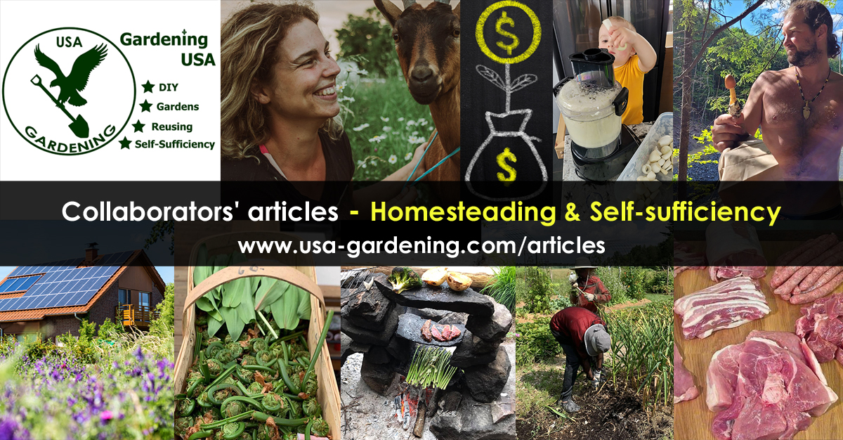 Homesteading and self-sufficiency