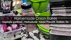 How to make onion flakes
