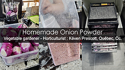 How to make onion powder