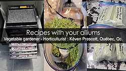 Alliums recipes