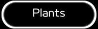 Plants - articles