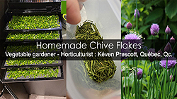 How to make chive flakes