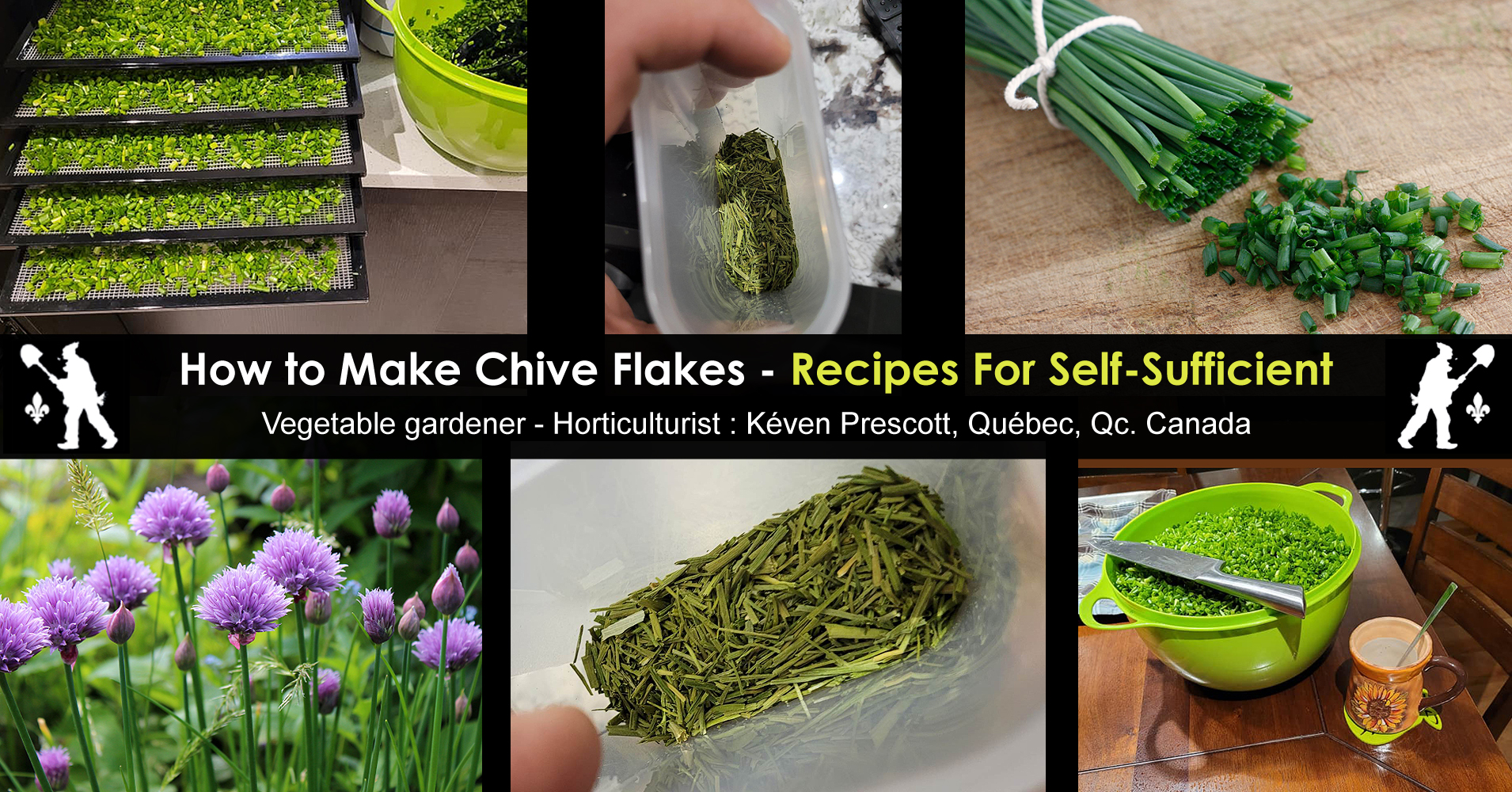 How to Make Chive Flakes Recipes for SelfSufficient