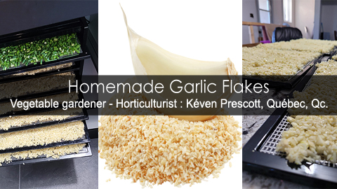 How to make garlic flakes