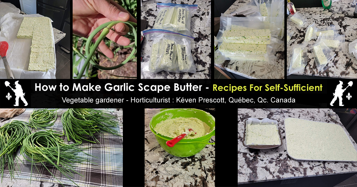 How to make garlic scape butter