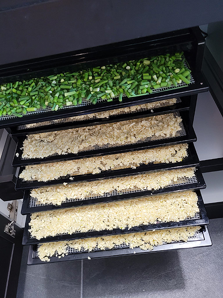 Minced garlic scapes in dehydrator