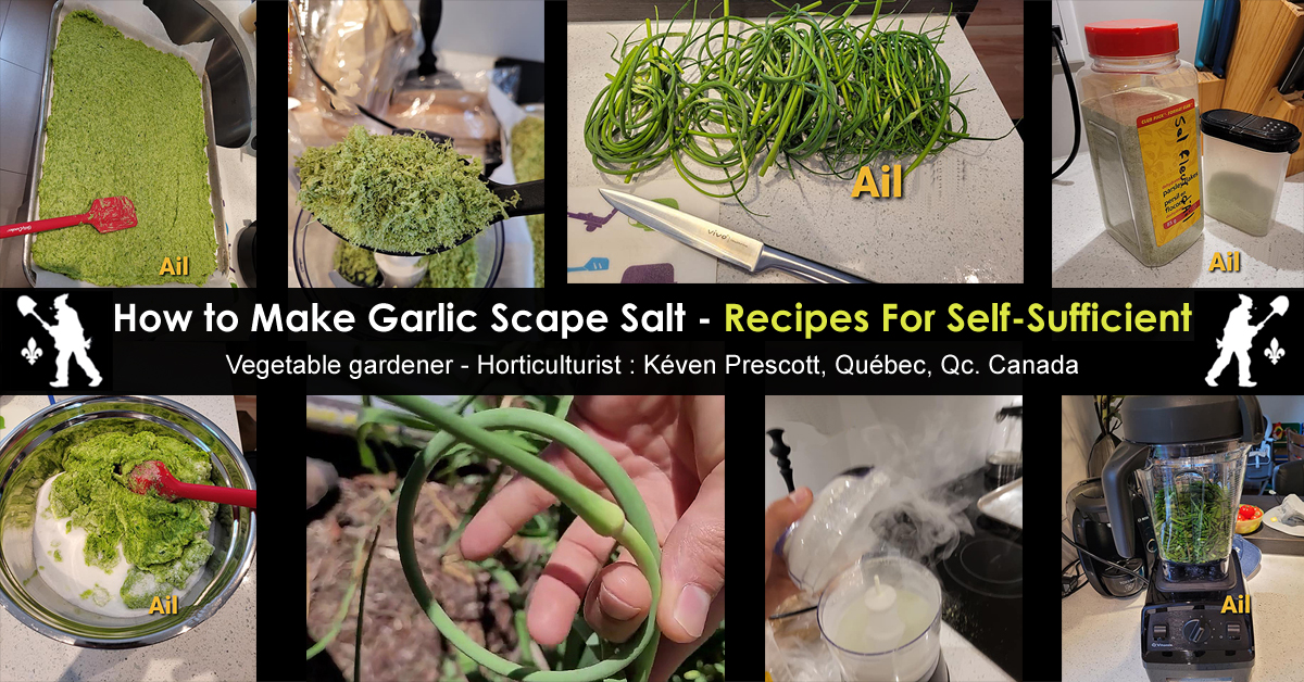 How to make garlic scape salt
