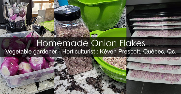 Onion flakes